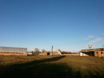 Агрофірма в Бердичівському районі